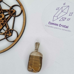 DIJE DE OJO DE TIGRE CON BAÑO DE ELECTROPLATA en internet