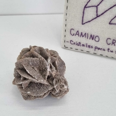ROSA DEL DESIERTO en internet