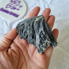 ESCOBA DE BRUJA