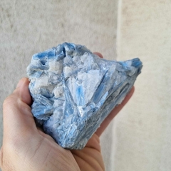 CIANITA AZUL XL