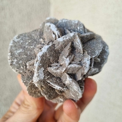 ROSA DEL DESIERTO XL