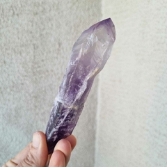 CETRO DE AMATISTA