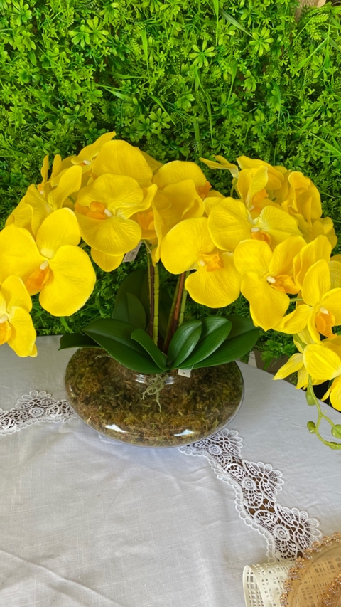 Arranjo de Orquídeas Amarelas em Vaso Terrário
