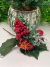 PICK AZEVINHOS C/PRESENTE 19cm - comprar online