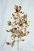 Galho Decorativo - CB - 66cm