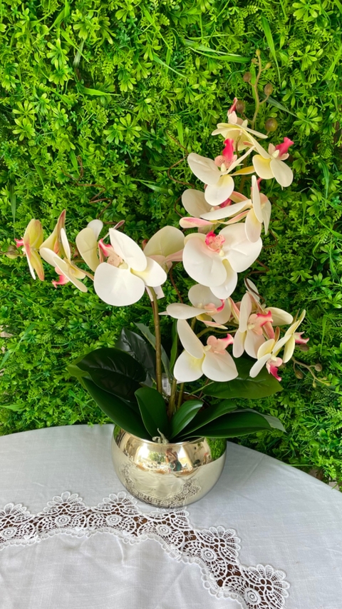 Arranjo de Orquídeas Brancas com Detalhes em Rosa