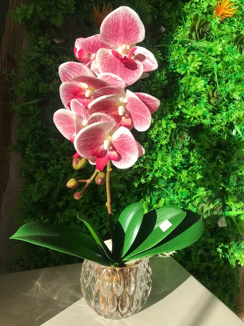 ARRANJO ORQUIDEA ROSÊ