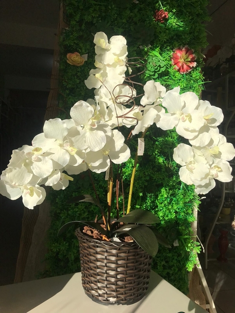 ARRANJO ORQUIDEA COM BALDE DE JUNCO