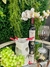 CONJUNTO FONDUE HERSTAL 7 PEÇAS BRANCO