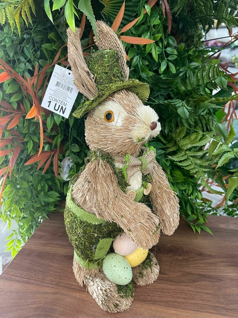 Coelho C/Jardineira.