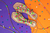 FLAT RG - HAPPY - comprar online