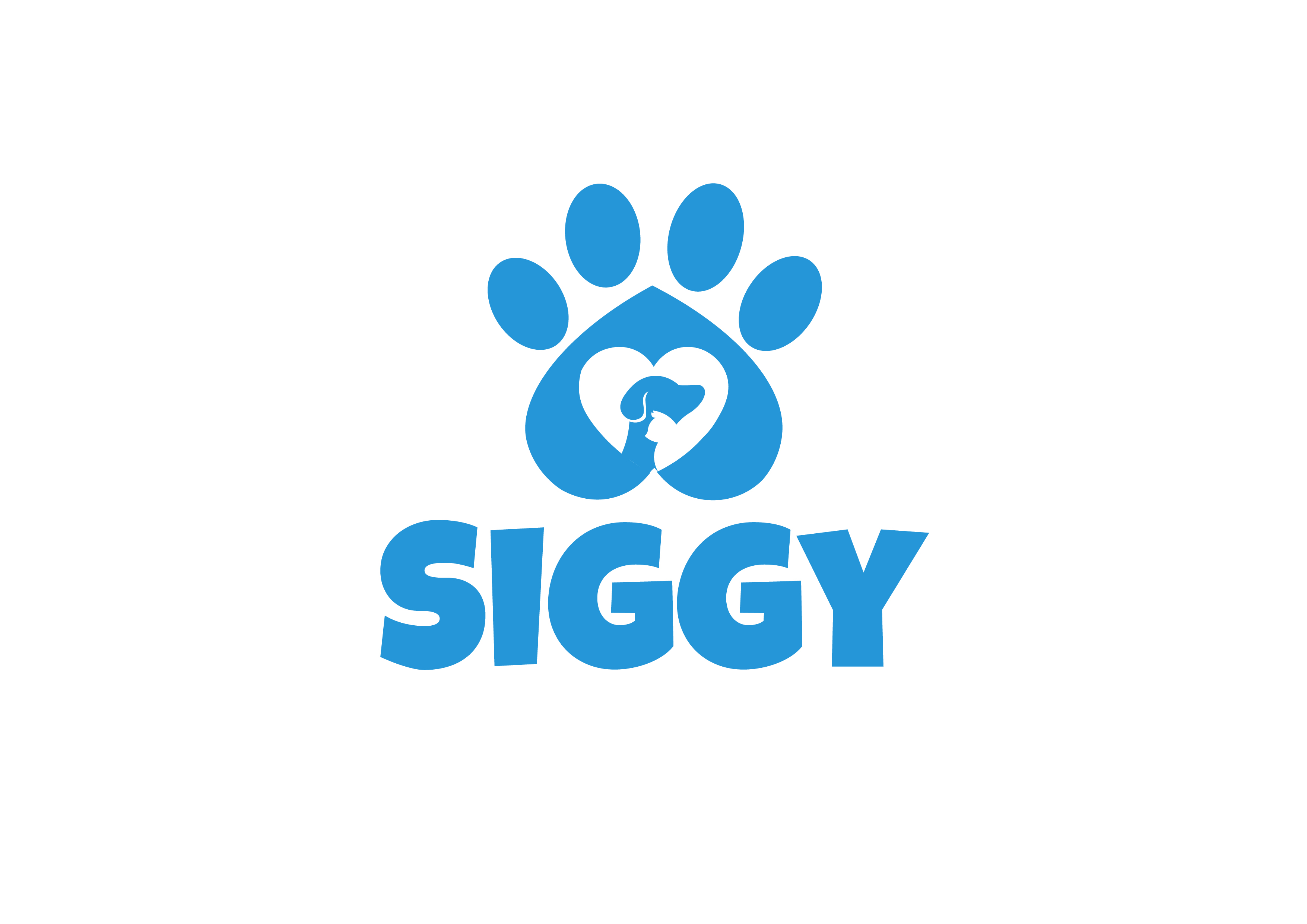 Siggy