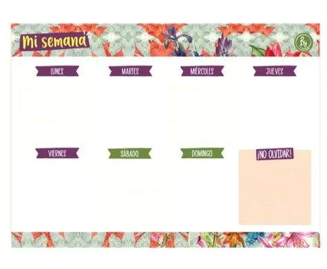 PLANNER SEMANAL - 50 HJS - RYPRODUCTOS -