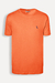 CAMISETA RESERVA BASICA LARANJA FERRUGEM - loja online