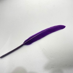 Plumas de Pato (chico) - comprar online