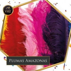 Amazonas GG (Tapa)