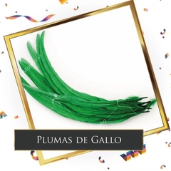 Gallos de Colores