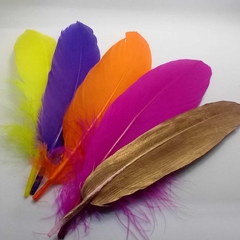 Plumas de Pato (Grande)