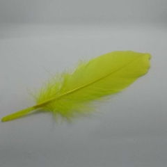 Imagen de Plumas de Pato (Grande)