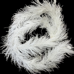 Boas de Avestruz (de Amazonas)