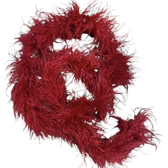 Boas de Avestruz (de Amazonas) - comprar online