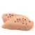 Pollo Coeco - comprar online