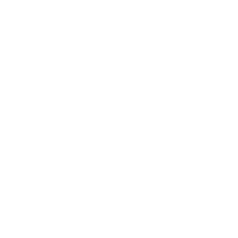 Bike Mania