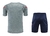 Kit de treino Paris Saint Germain Cinza 22- Nike Masculina - comprar online