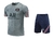 Kit de treino Paris Saint Germain Cinza 22- Nike Masculina