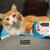 Formula Natural Receitas Caseiras Gatos Carne com Bacon 100g - comprar online