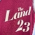 Camiseta Regata Cleveland Cavaliers - Nike - Masculina Vinho - JAMES n:23 na internet