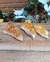 Drusa de Citrino Natural - comprar online