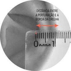 Imagem do Piercing Argola Segmento 1.2 6mm