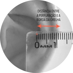 Piercing Argola Segmento Torcida - loja online
