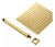 DUCHA INOX CHUVEIRO PREMIUM QUADRADO DOURADO INOX COM BRAÇO 20X20 - Royale Torneiras