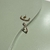 BRINCO EARHOOK CRAVEJADO COLORIDO - SEMIJOIA