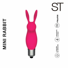 MINI RABBIT