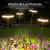 Estaca Solar Led X 4u. Luz Calida Exterior Efecto Flotante Litex LX490 en internet