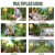 LAMPARA SOLAR ATRAPA INSECTOS MOSQUITOS AVISPAS MOSCAS PACK X2 en internet