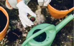 Banner de la categoría Fertilizantes 