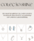 Carrossel 6