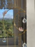 Suncatcher Lua com aura rosa - loja online
