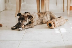 Juegos de ingenio para Perros - Ardillas & Tronco TAMAÑO GRANDE en internet