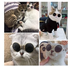 Anteojos para Mascotas redonditos - Gatos & Perros Pequeños en internet