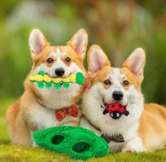 Juegos de ingenio para Perros - Bichos & Pasto - comprar online