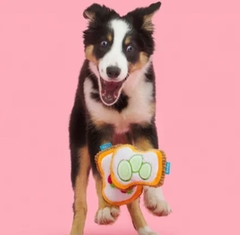 Juguetes para Perros - Tostadas Mordibles - comprar online