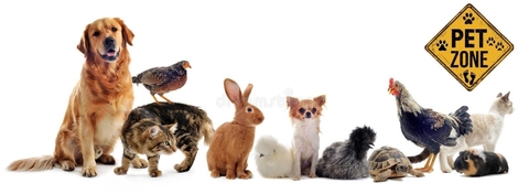 Carrusel Petzone