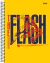 CAD. SD. 15 M FLASH na internet