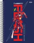 CAD. SD. 15 M FLASH - comprar online