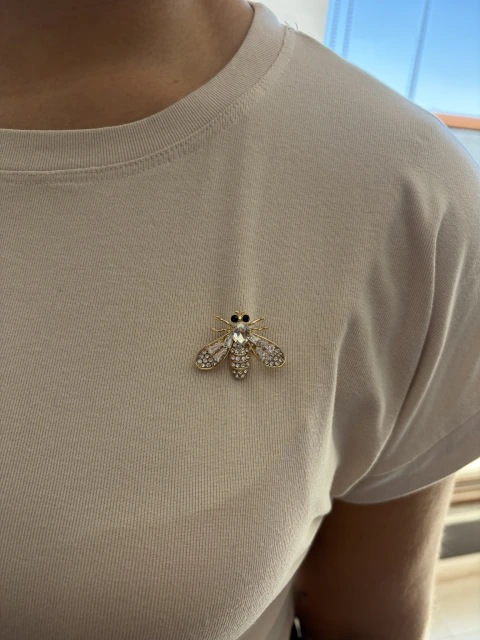 Broche Dourado Mosca com Pedra